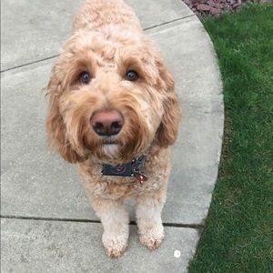 Meet your Posher, Evan